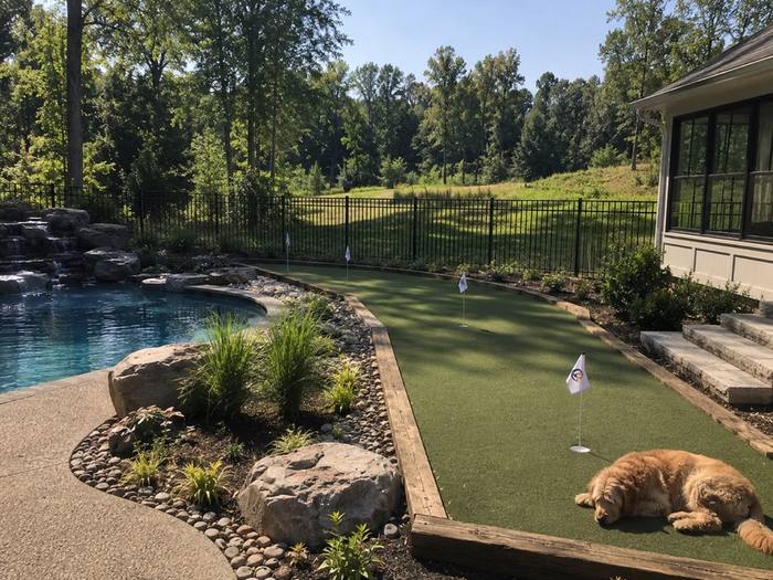 Putting green beside pool with dog relaxing